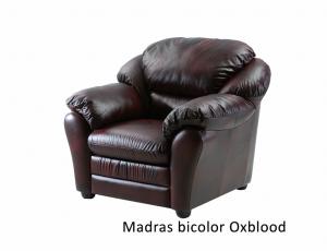 Кресло Берг КОЖА+ ЭКО/КОЖА цвет: Madras bicolor Oxblood