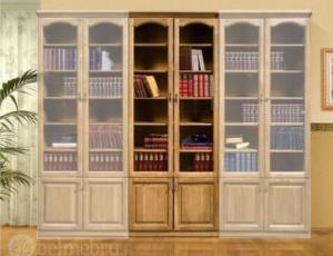Шкаф для книг  2-дверный Вариант 03 (середина)